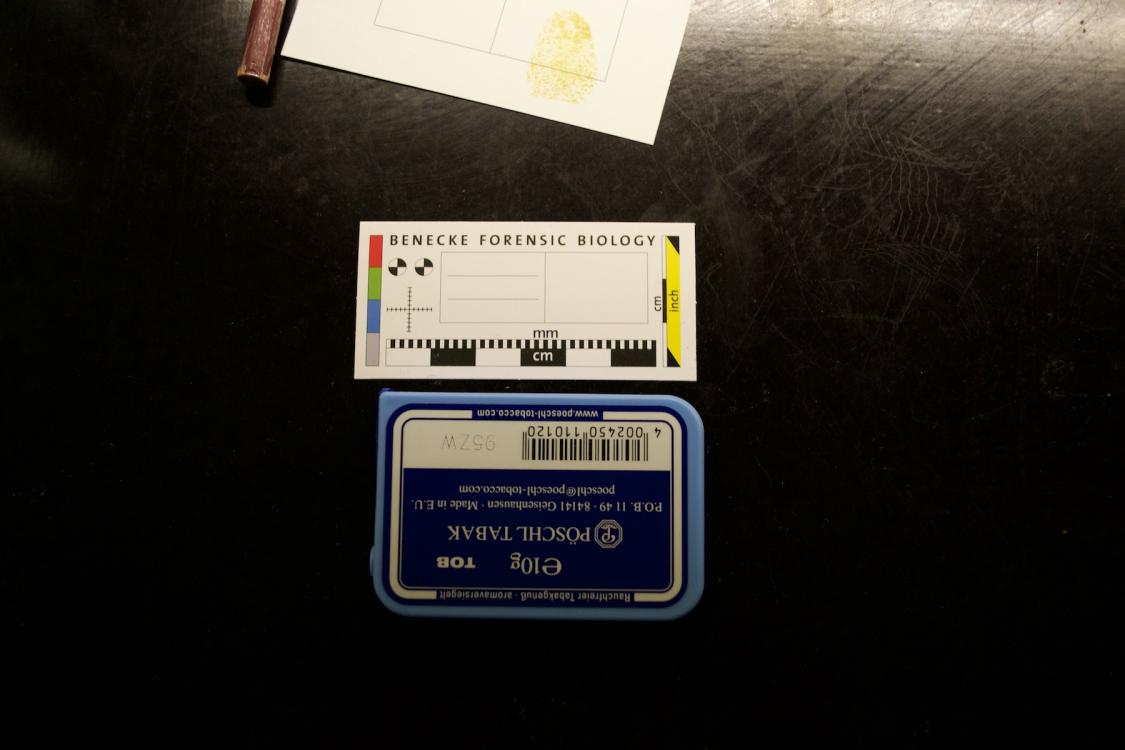 Foto: Julian Vogel Good Cop / Bad Cop: Open Case